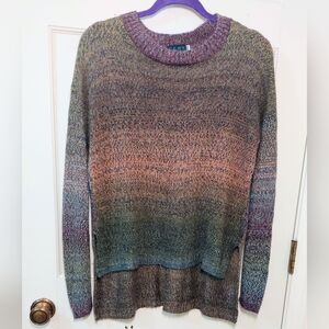 CENY Multicolor Ombre Hi-Low Oversized Sweater, Size S